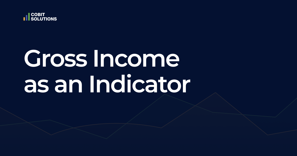 Case study: Why you Can’t Rely on Gross Income as an Indicator?