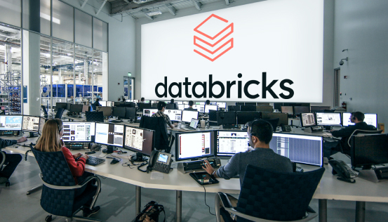 Databricks Consultants