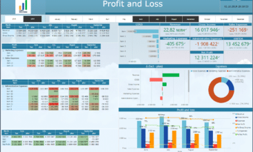 Profit & Loss (P&L)