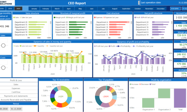 WHY DO I AND MY COMPANY NEED INTERACTIVE REPORTING?